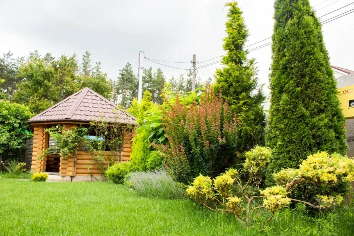 https://syktyvkar.tgv-stroy.ru/storage/app/uploads/public/637/ef4/fb3/637ef4fb3605f391429275.png